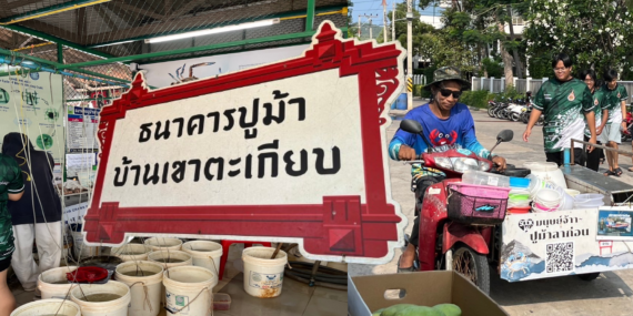 ธนาคารปูม้าบ้านเขาตะเกียบ, ปล่อยปูหัวหิน ,แหล่งอนุรักษ์สัตว์น้ำ