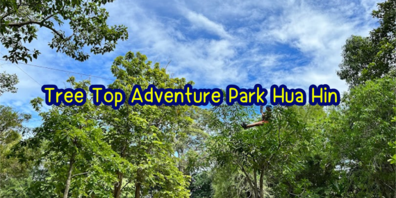 เปิดประสบการณ์ใหม่ที่หัวหิน , Tree Top Adventure Park Hua Hin , ที่ทำกิจกรรมหัวหิน